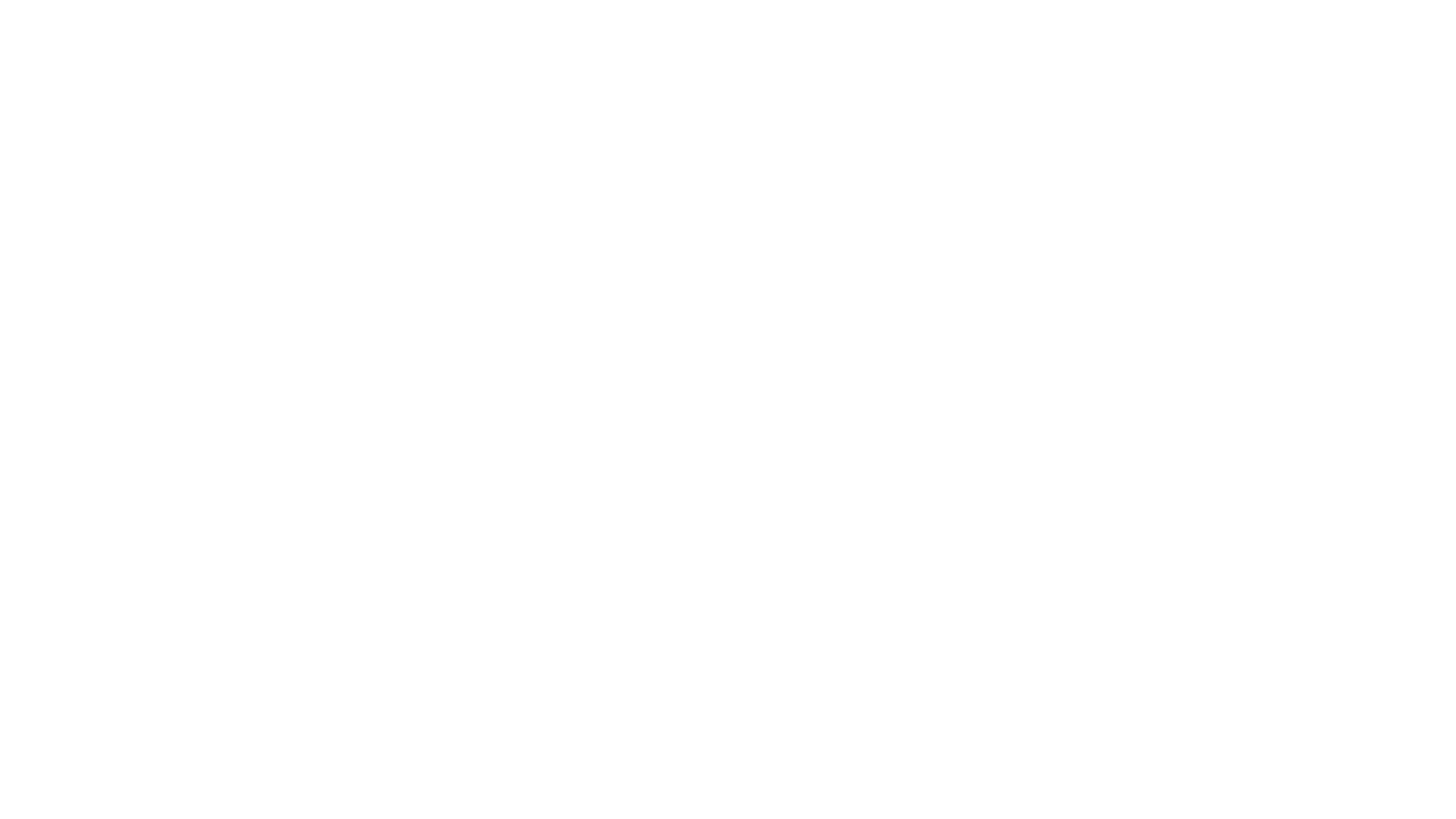 PINI-LOGO-bianco