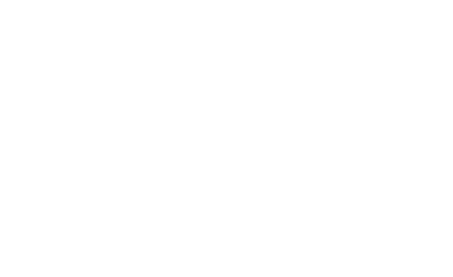 ai_engineering_srl___ai_studio_logo_bianco-1